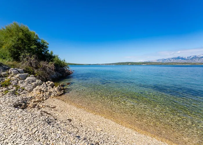 Вилла Lorena Новиград-Далмация